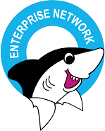 Enterprise Network Technology