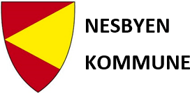 Nesbyen kommune