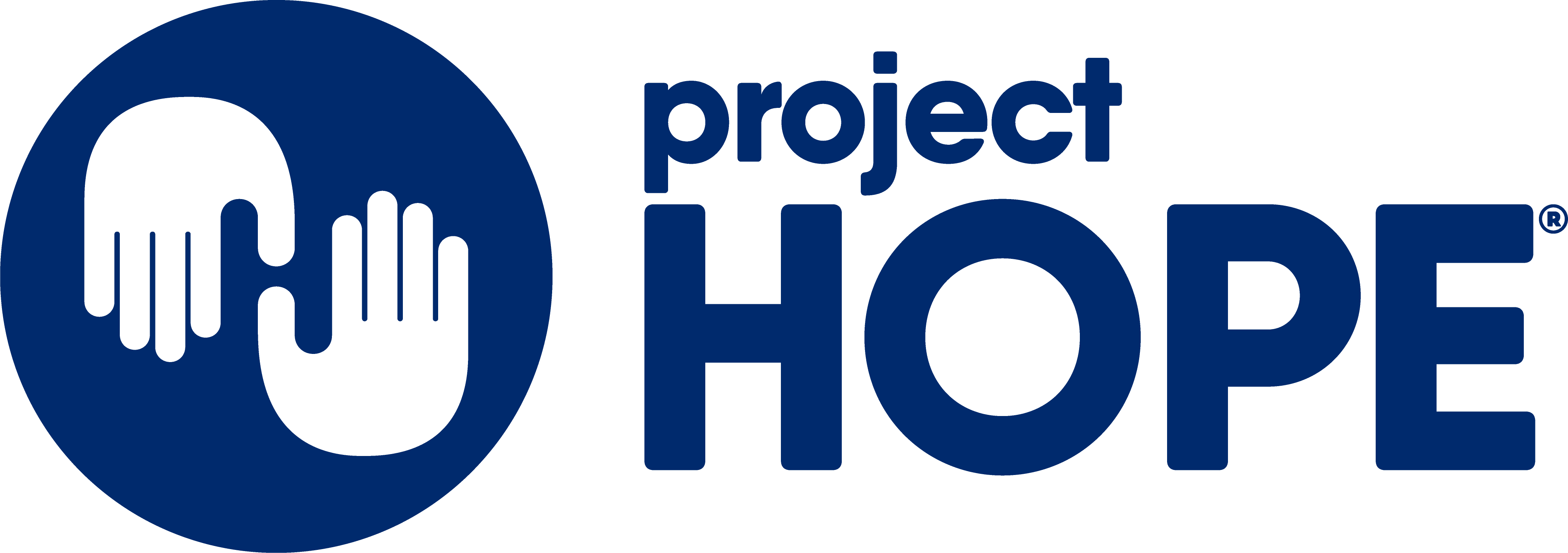 Program Manager