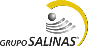 Grupo Salinas