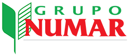 Grupo Numar