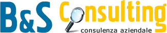 B&S Consulting