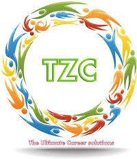 Talent Zone Consultant