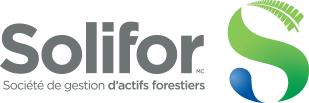 Gestion Solifor
