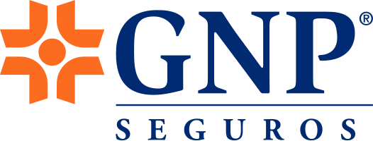 Grupo Nacional Provincial