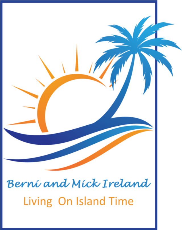 bernimickireland.com