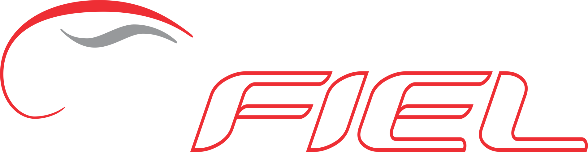 Fiel Turismo