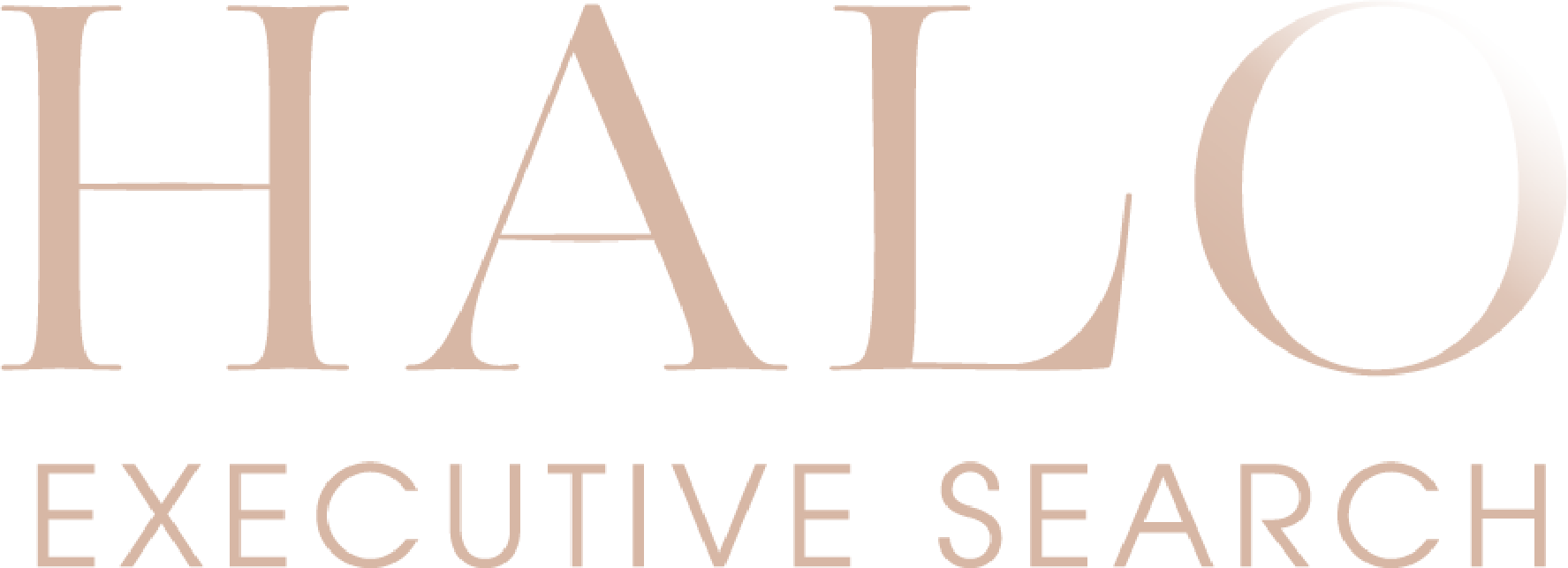 Halo Executive Search