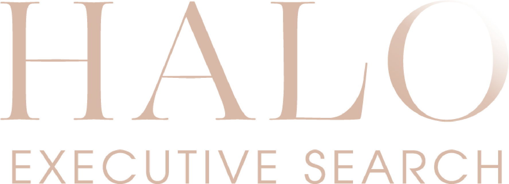 Halo Executive Search
