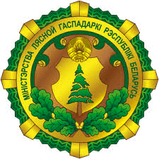 Дисненский лесхоз