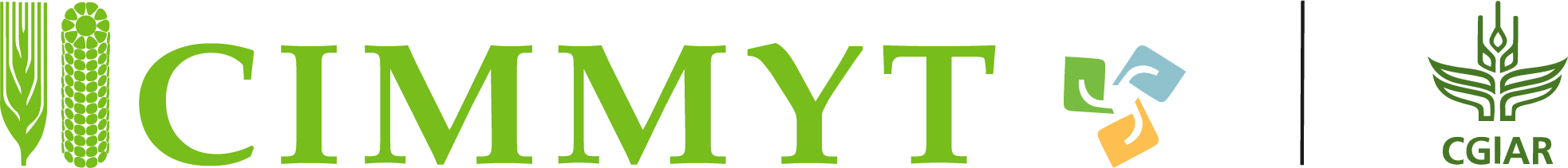CIMMYT