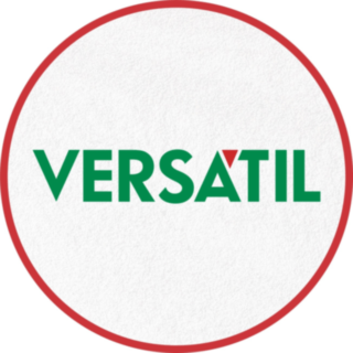 Versátil Andaimes