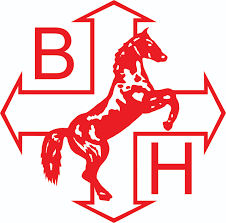 Ballyvesey Holdings