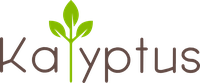 Kalyptus