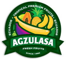 Agzulasa