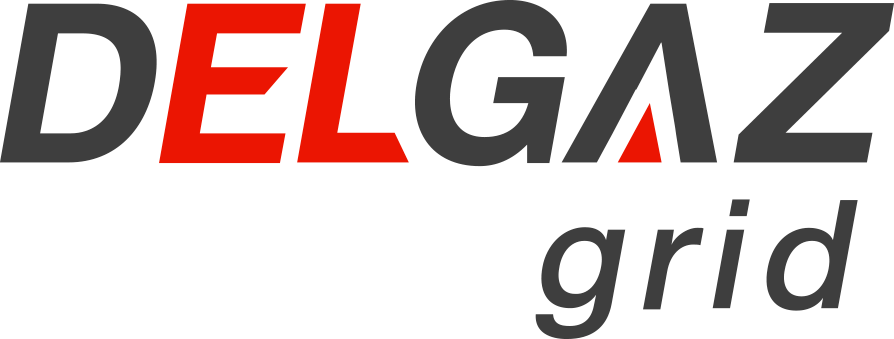 Delgaz Grid