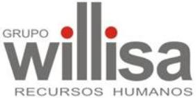 Grupo Willisa