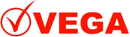 Grupo Vega