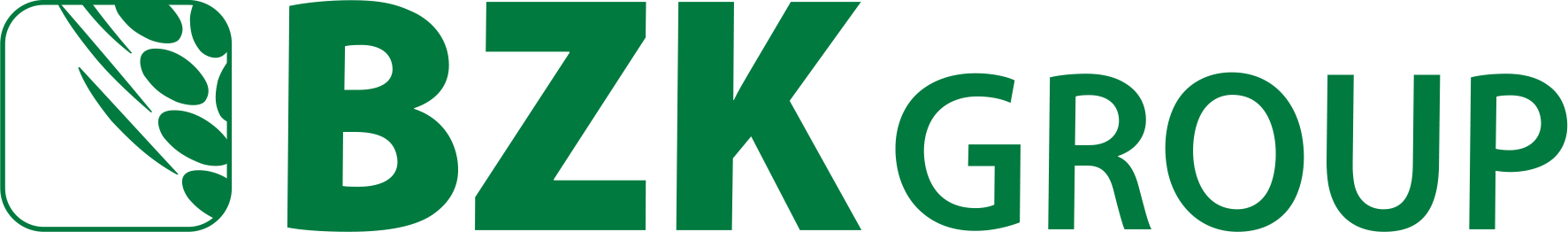 BZK Group
