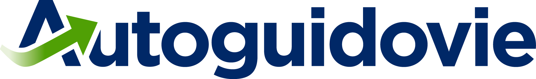 Autoguidovie