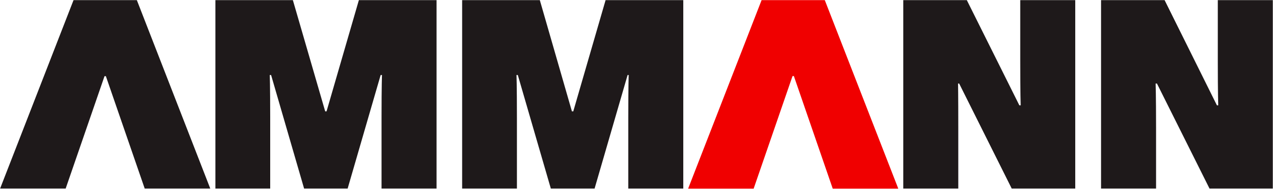 Ammann Group