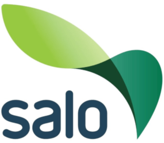Salon kaupunki