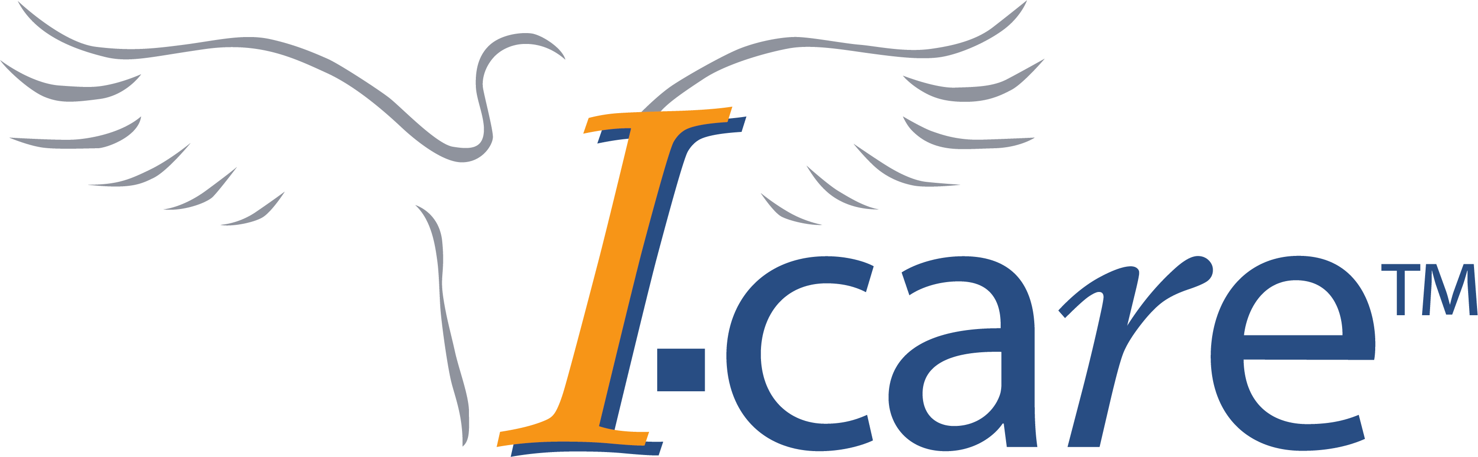I-care Group