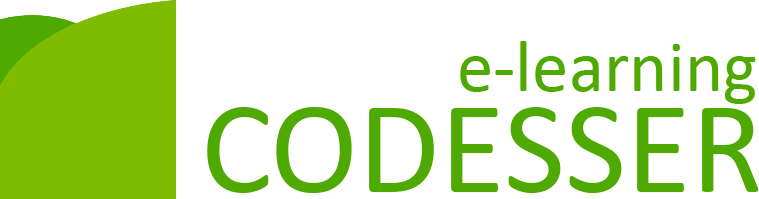 Codesser