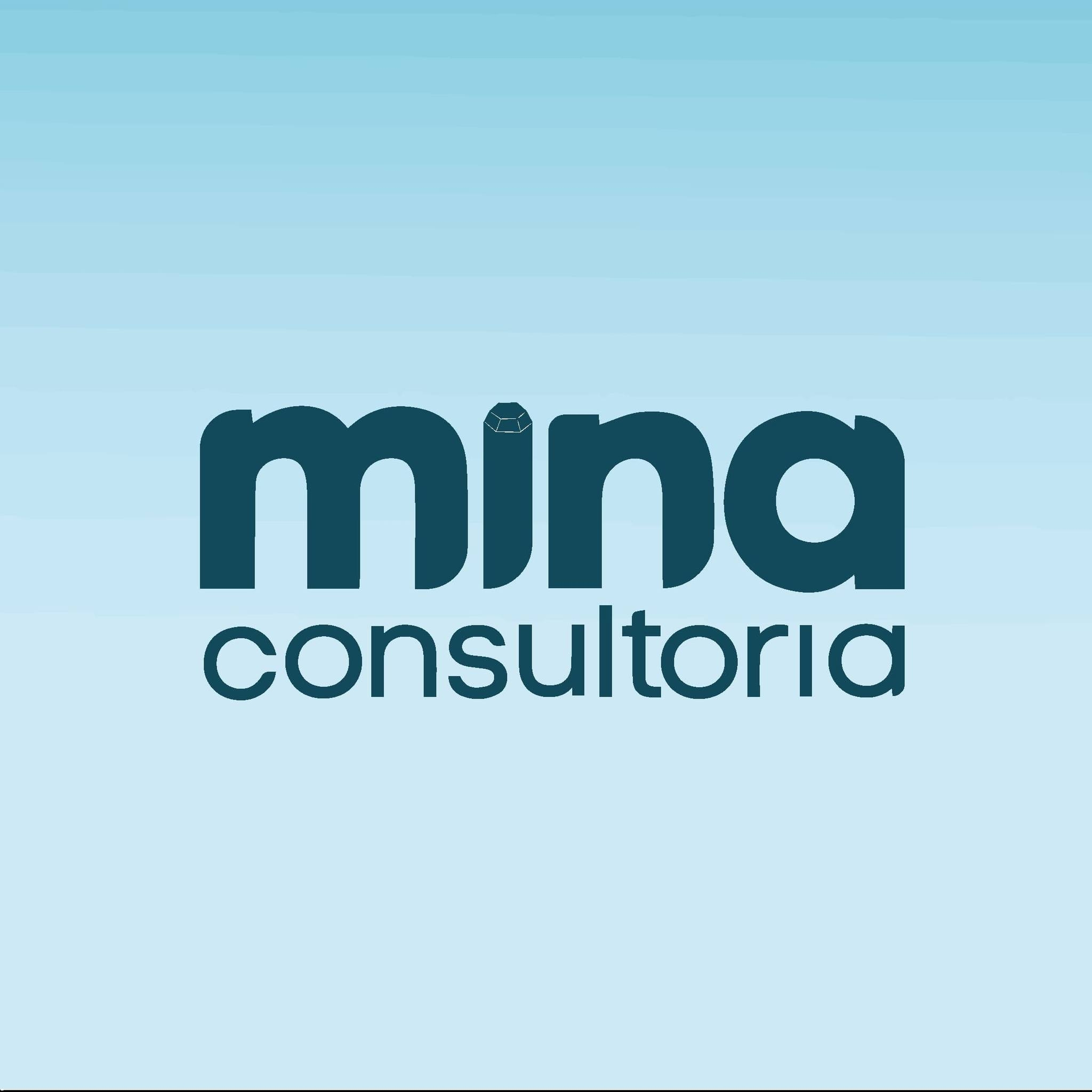 Mina Consultoria
