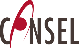 Consel Group