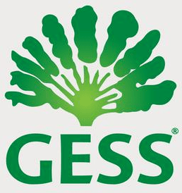 GESS
