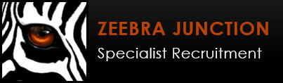 Zeebra Junction