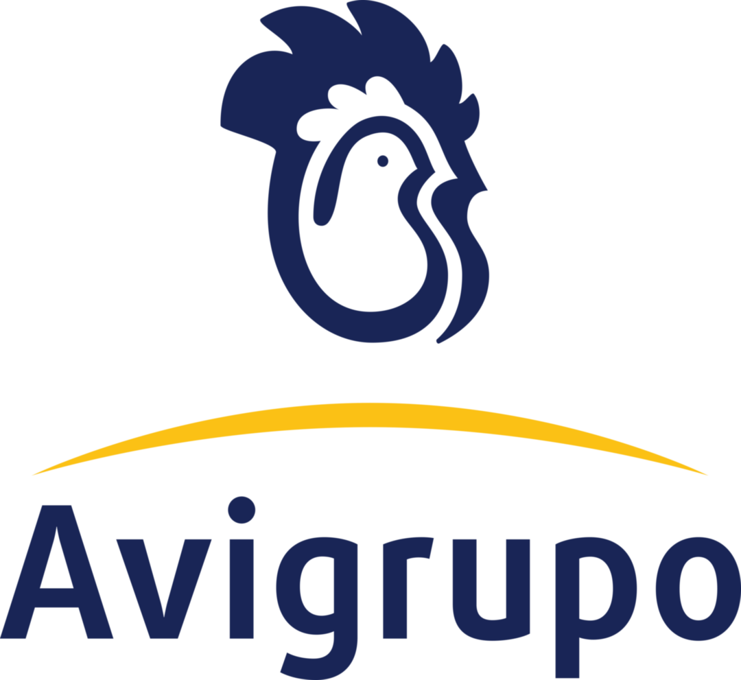 Avigrupo