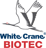 ไว้ท์เครน