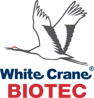 ไว้ท์เครน