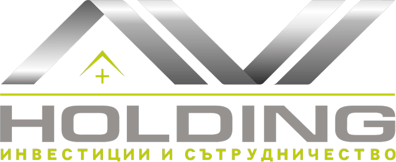 Ави Холдинг