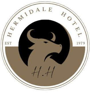 Hermidale Hotel