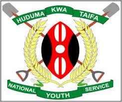 National Youth Service