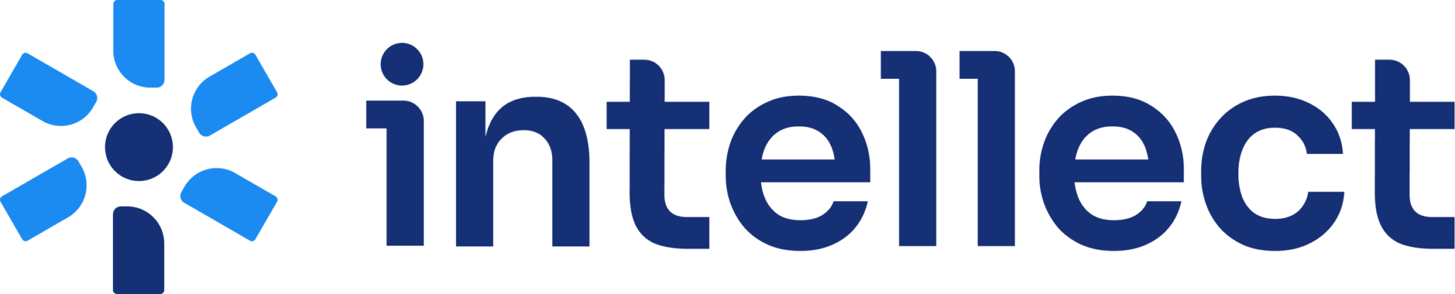 The Intellect Company