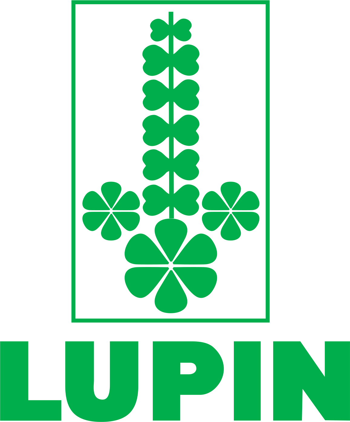 Lupin