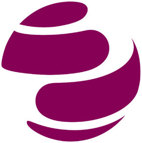 Financial Investigator