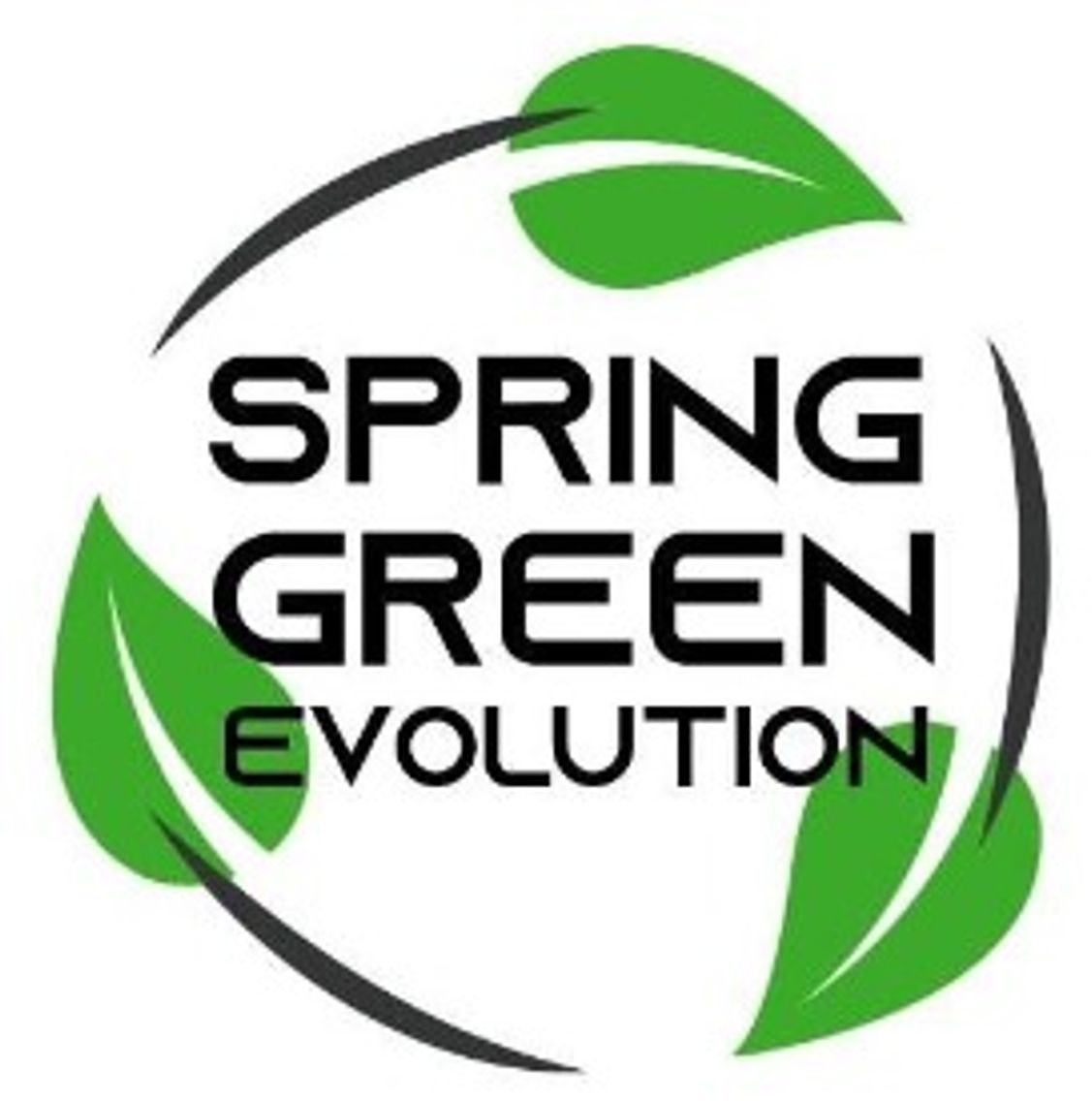 สปริงกรีน อีโวลูชั่น