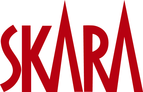 Skara kommun