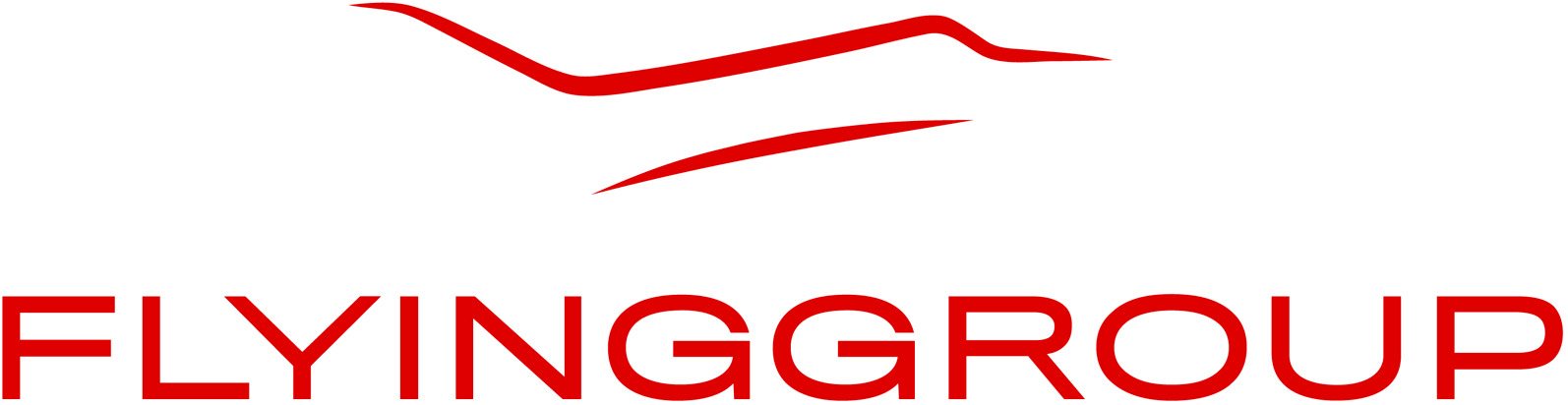 FLYINGGROUP