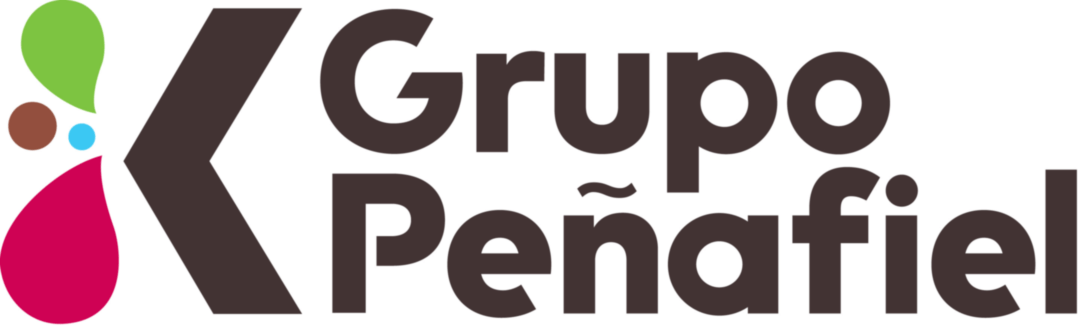 Grupo Peñafiel