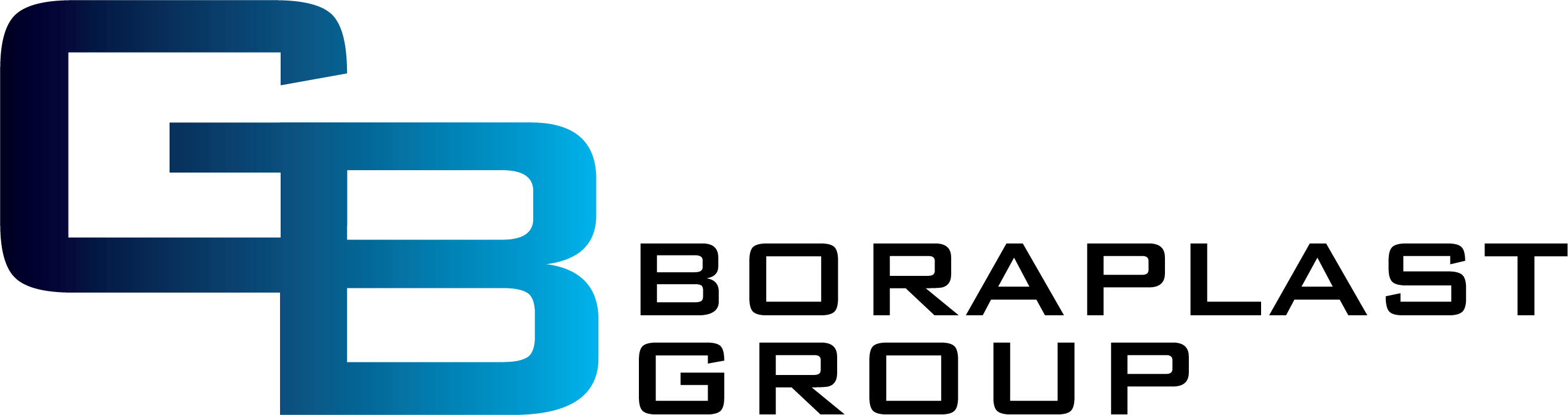 Boraplast Group