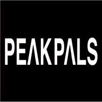 Market Research Analyst Internship in Noida at PeakPals Job Circular