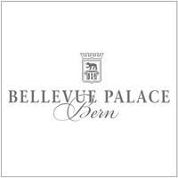 Hôtel Bellevue Palace