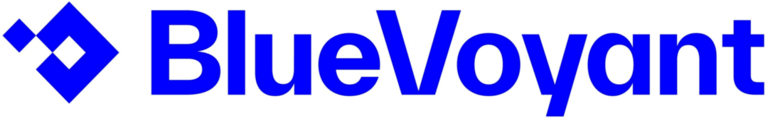 BlueVoyant