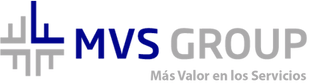 MVS Group